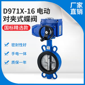 �Լ�ʽ�綯����