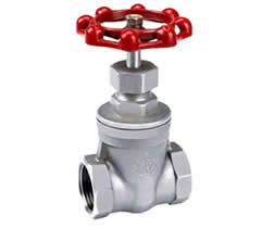 �����������բ��