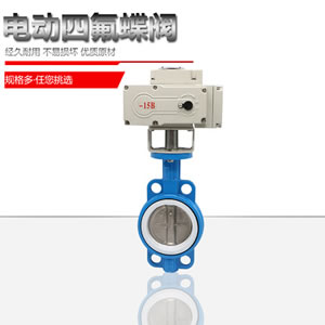 �Լ�ʽ�ķ��綯����