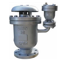 ����ָ���ʽ������