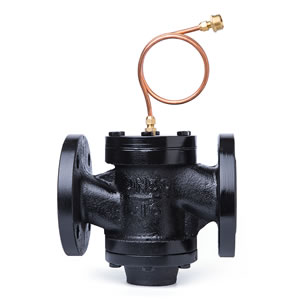 ZYC����ʽѹ����Ʒ� ѹ��ƽ�ⷧ