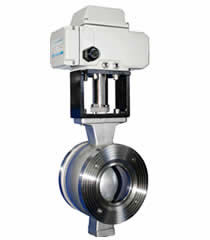 �綯V�͵�����